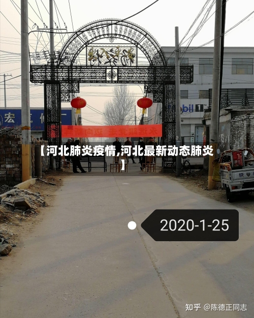 【河北肺炎疫情,河北最新动态肺炎】