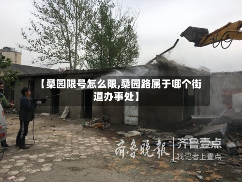 【桑园限号怎么限,桑园路属于哪个街道办事处】