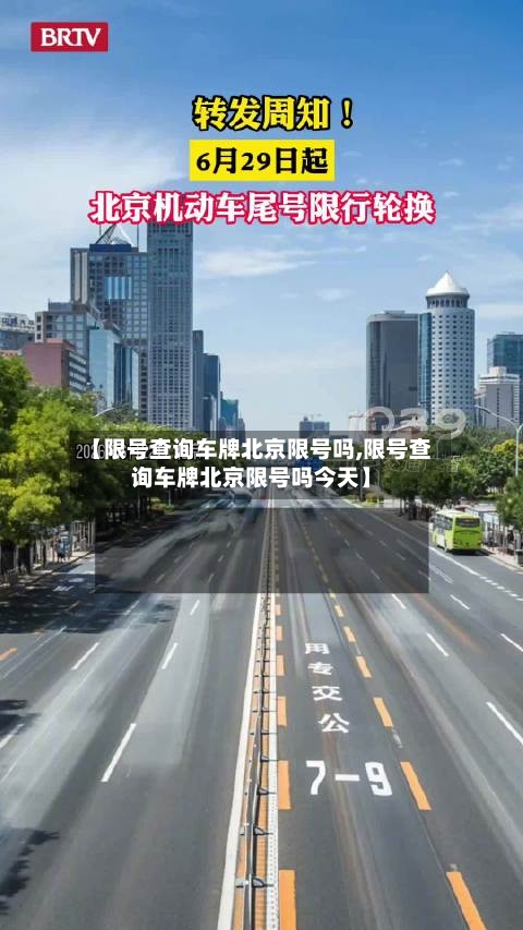【限号查询车牌北京限号吗,限号查询车牌北京限号吗今天】-第3张图片