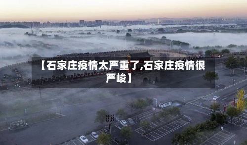 【石家庄疫情太严重了,石家庄疫情很严峻】-第2张图片