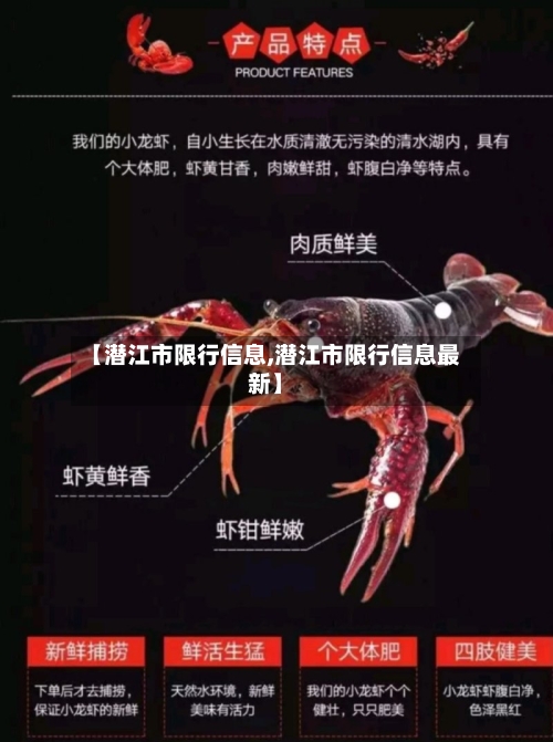 【潜江市限行信息,潜江市限行信息最新】