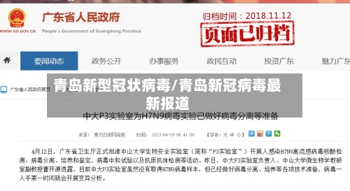 青岛新型冠状病毒/青岛新冠病毒最新报道-第2张图片