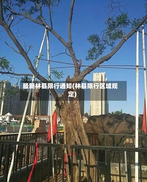 最新林县限行通知(林县限行区域规定)