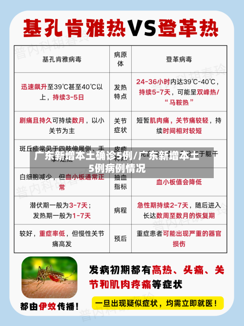 广东新增本土确诊5例/广东新增本土5例病例情况