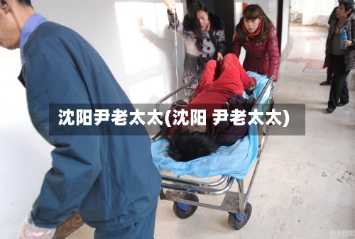 沈阳尹老太太(沈阳 尹老太太)