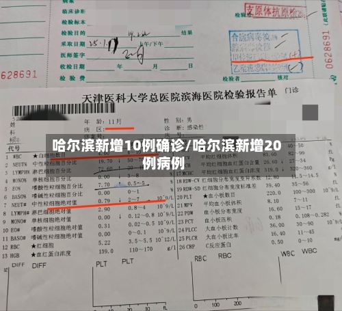 哈尔滨新增10例确诊/哈尔滨新增20例病例