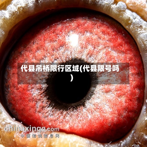 代县吊桥限行区域(代县限号吗)