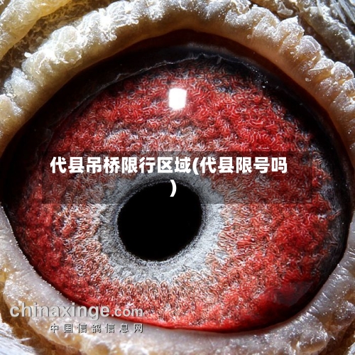 代县吊桥限行区域(代县限号吗)-第3张图片