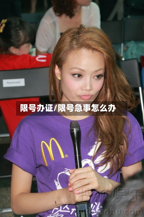 限号办证/限号急事怎么办