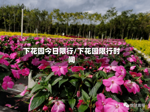 下花园今日限行/下花园限行时间-第2张图片