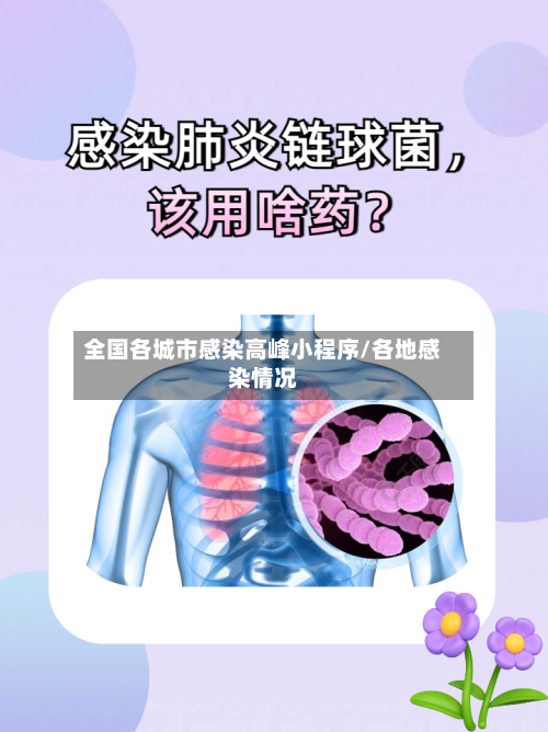 全国各城市感染高峰小程序/各地感染情况-第2张图片