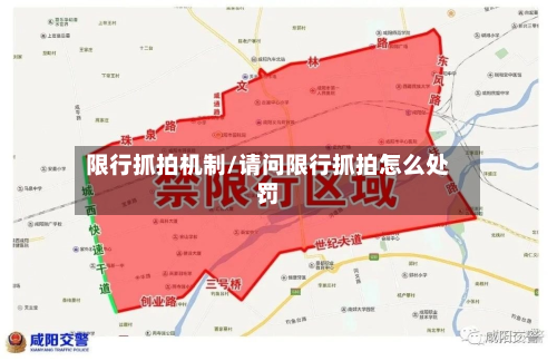 限行抓拍机制/请问限行抓拍怎么处罚-第2张图片