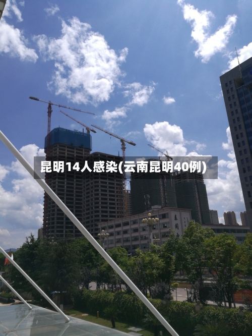 昆明14人感染(云南昆明40例)