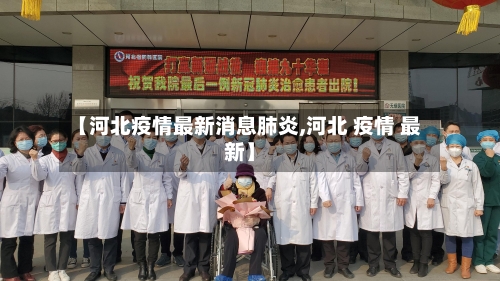 【河北疫情最新消息肺炎,河北 疫情 最新】-第2张图片