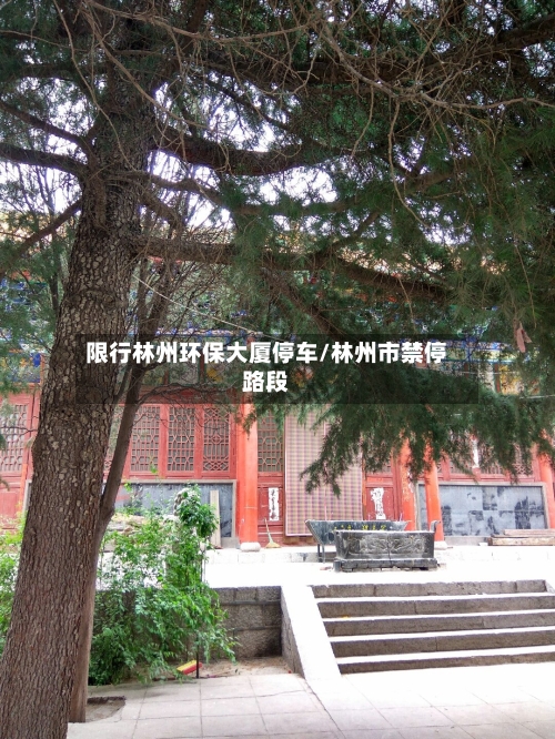 限行林州环保大厦停车/林州市禁停路段-第2张图片