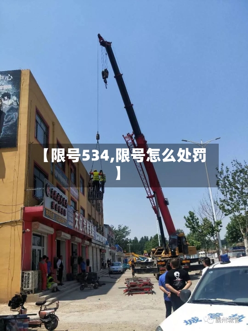 【限号534,限号怎么处罚】-第2张图片