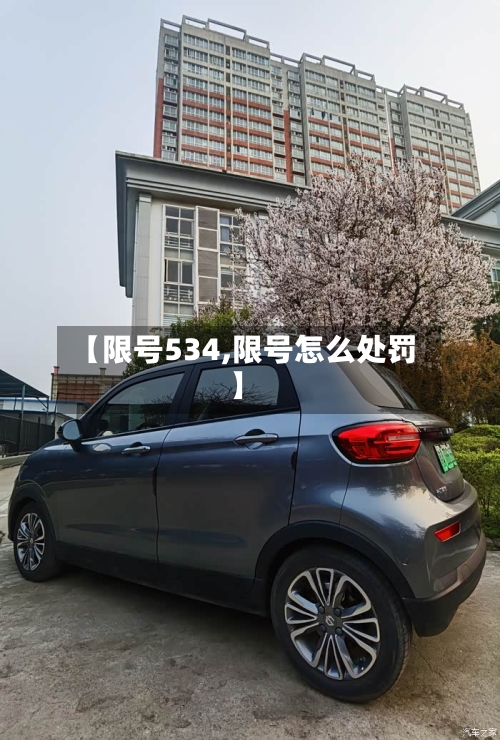 【限号534,限号怎么处罚】