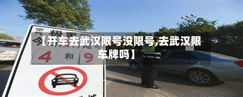 【开车去武汉限号没限号,去武汉限车牌吗】-第3张图片