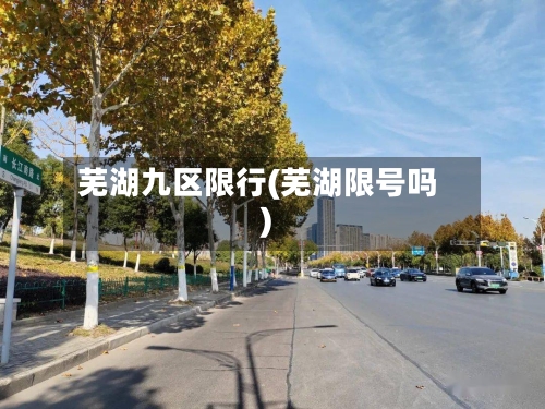 芜湖九区限行(芜湖限号吗)