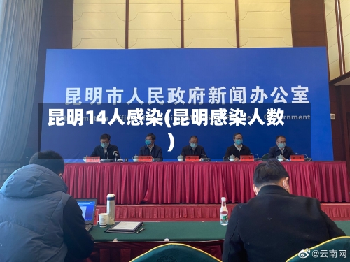 昆明14人感染(昆明感染人数)-第2张图片