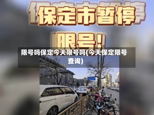 限号吗保定今天限号吗(今天保定限号查询)