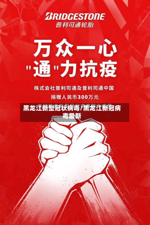 黑龙江新型冠状病毒/黑龙江新冠病毒最新-第2张图片