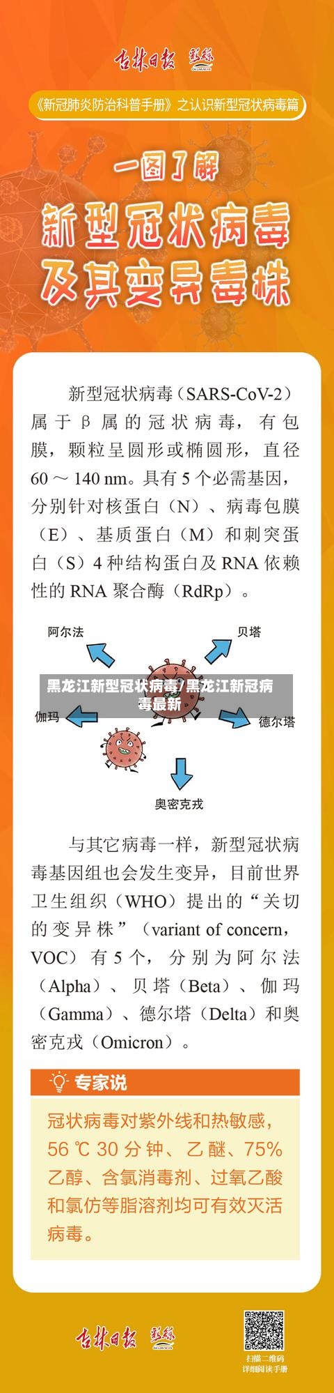 黑龙江新型冠状病毒/黑龙江新冠病毒最新-第3张图片