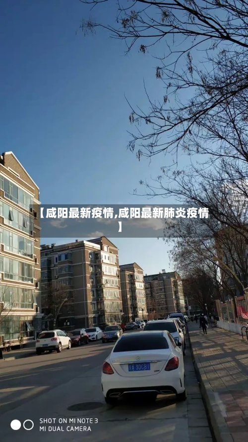 【咸阳最新疫情,咸阳最新肺炎疫情】