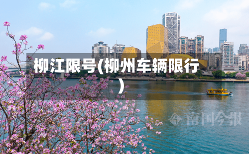 柳江限号(柳州车辆限行)-第2张图片