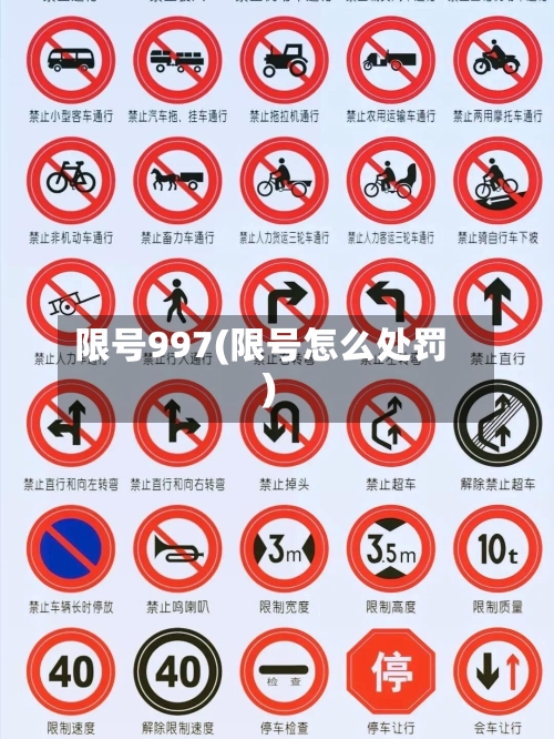 限号997(限号怎么处罚)