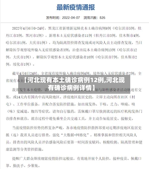 【河北现有本土确诊病例12例,河北现有确诊病例详情】-第3张图片
