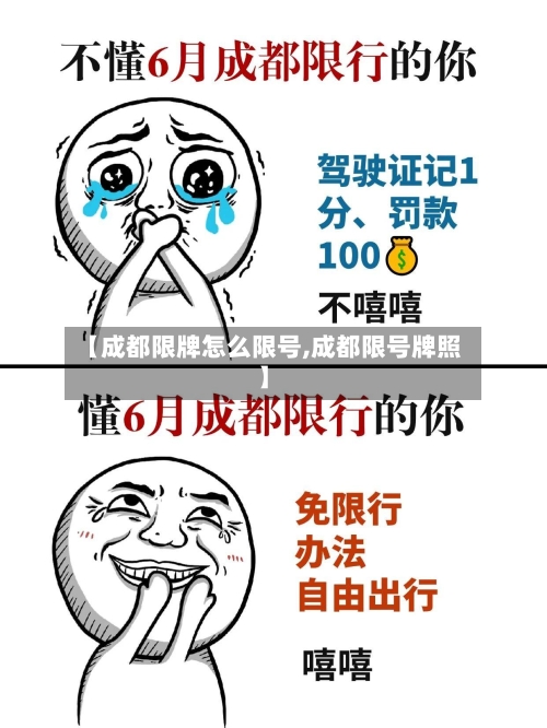 【成都限牌怎么限号,成都限号牌照】-第2张图片
