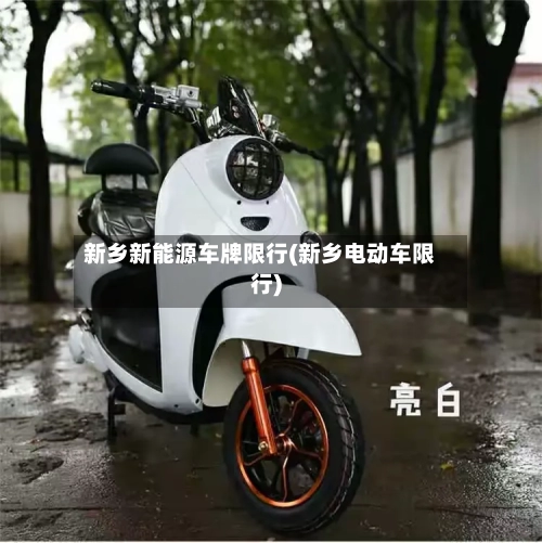 新乡新能源车牌限行(新乡电动车限行)