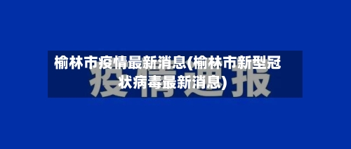榆林市疫情最新消息(榆林市新型冠状病毒最新消息)-第3张图片