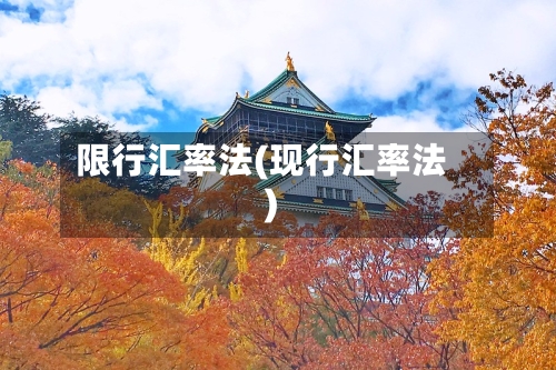 限行汇率法(现行汇率法)-第2张图片