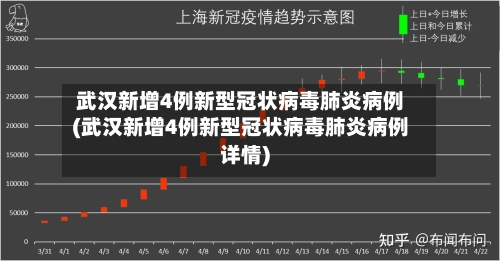 武汉新增4例新型冠状病毒肺炎病例(武汉新增4例新型冠状病毒肺炎病例详情)-第2张图片