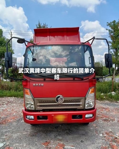 武汉黄牌中型客车限行的简单介绍-第2张图片