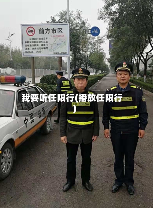 我要听任限行(播放任限行)