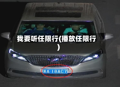 我要听任限行(播放任限行)-第2张图片