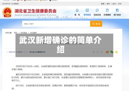 武汉新增确诊的简单介绍