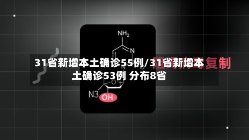 31省新增本土确诊55例/31省新增本土确诊53例 分布8省