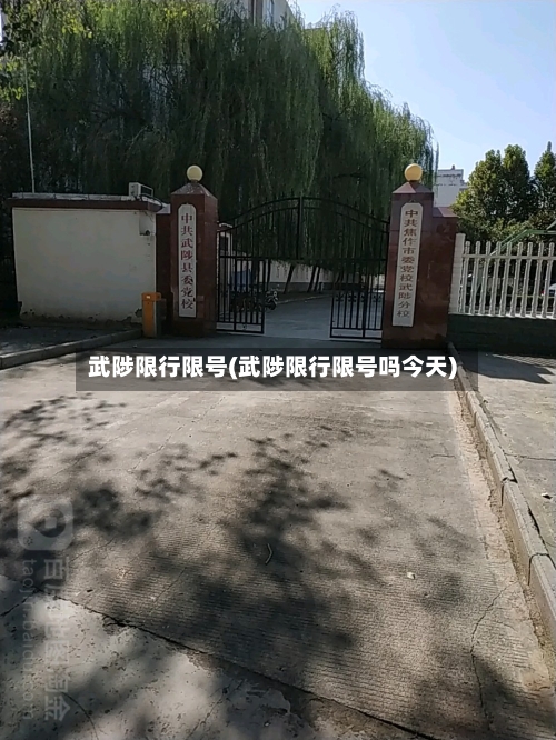 武陟限行限号(武陟限行限号吗今天)-第2张图片