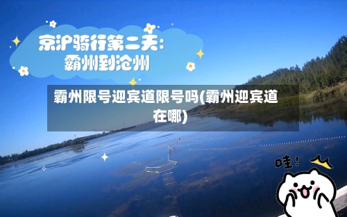 霸州限号迎宾道限号吗(霸州迎宾道在哪)