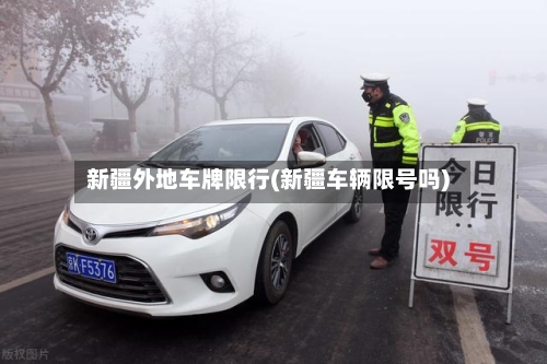 新疆外地车牌限行(新疆车辆限号吗)-第2张图片