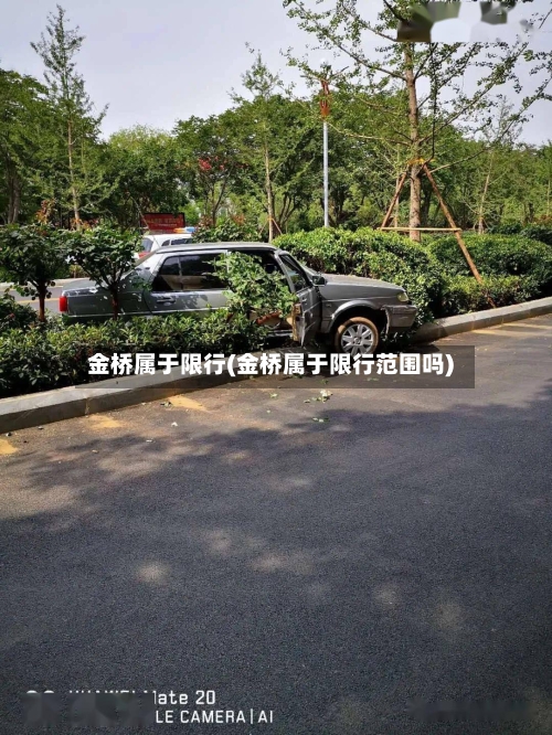 金桥属于限行(金桥属于限行范围吗)-第2张图片
