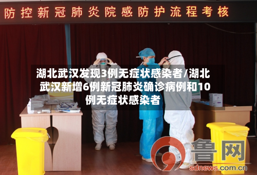 湖北武汉发现3例无症状感染者/湖北武汉新增6例新冠肺炎确诊病例和10例无症状感染者