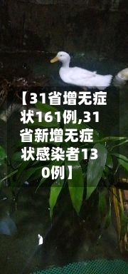 【31省增无症状161例,31省新增无症状感染者130例】-第2张图片