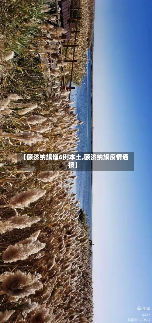【额济纳旗增6例本土,额济纳旗疫情通报】