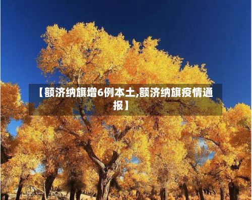 【额济纳旗增6例本土,额济纳旗疫情通报】-第2张图片