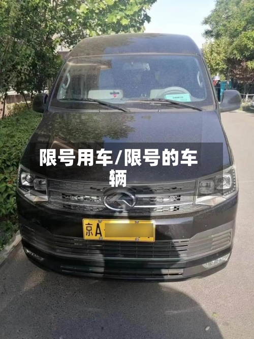 限号用车/限号的车辆